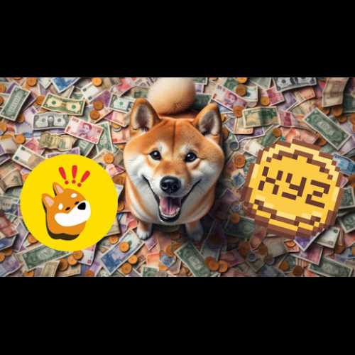 Dogecoin Millionaire enthüllt BONK und XYZVerse als die nächsten großen Aufsteiger im Jahr 2025!