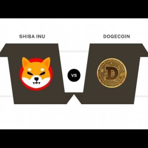 Shiba Inu vs. Dogecoin: Which Meme Coin is Better for Investment?