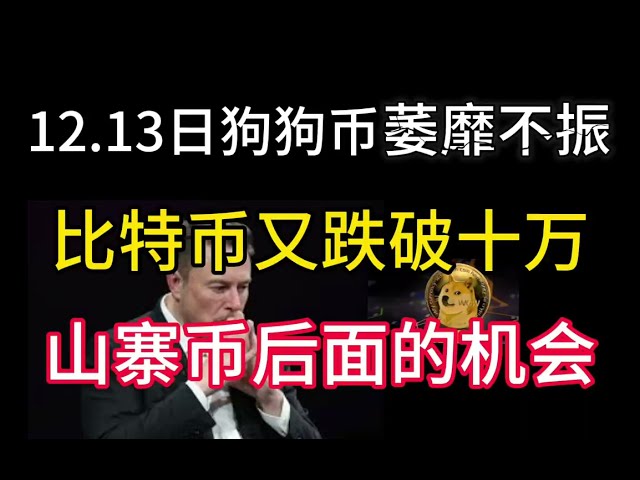 12.13日狗狗币萎靡不振！比特币又跌破十万！山寨币后面的机会在哪？