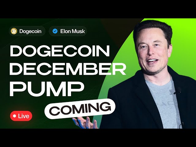 Elon Musk - DOGE의 성장을 준비하세요! 📈 라이브: $3 DOGE 예측! 아니면 가을이 다가오고 있나요?