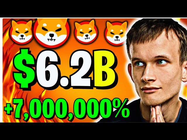 SHIBA INU 펌프 VITALIK BUTERIN이 SHIBA INU 코인을 달에 보냅니다! 시바견의 소식