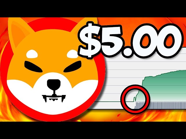 SHIBA INU: ROBINHOOD가 실수로 다음 주에 SHIB 가격을 유출했습니다!! - 오늘의 SHIBA INU 코인 뉴스