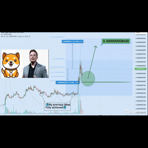 Baby Doge 코인: 강력한 커뮤니티 지원과 Elon Musk 요소를 갖춘 유망한 Meme 코인