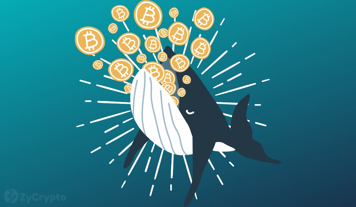 Les baleines Bitcoin (BTC) accumulent des actifs à mesure que le prix dépasse 100 000 $