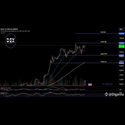 ビットコインの制度的導入の新時代