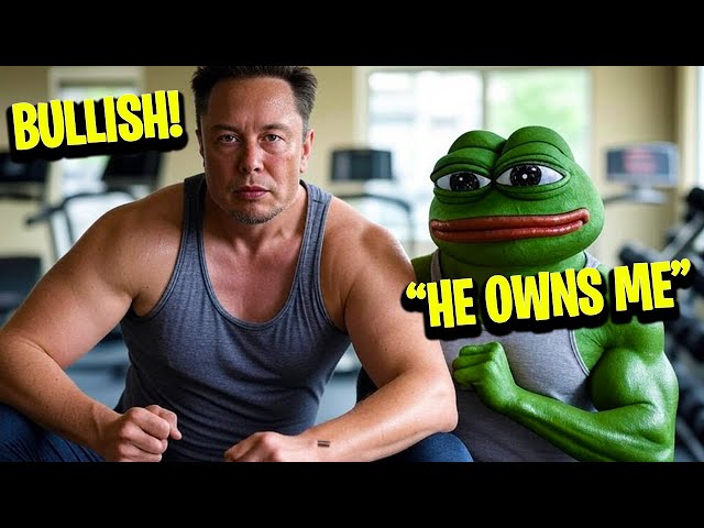 ELON MUSK BULL PUBLIE UNE PIÈCE DE PEPE - PEPE COIN NEWS AUJOURD'HUI