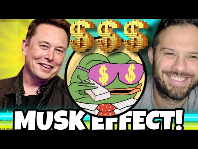 Elon Musk는 Pepe Unchained보다 30배 더 높은 이 작은 Pepe 토큰을 운전하고 있습니다!