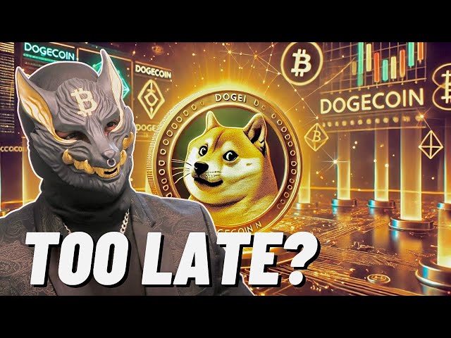 Doge 코인을 구매하기에는 너무 늦었나요? | MEME 코인