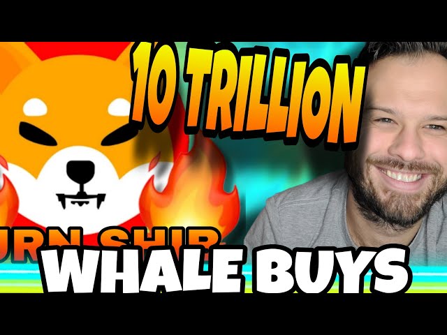 Pièce Shiba Inu | Les baleines SHIB déplacent 10 000 milliards de SHIB !