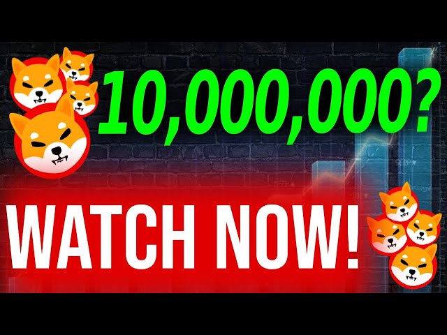 HEUTE NEUIGKEITEN VON SHIBA INU: WENN SIE 10.000.000 SHIB-TOKEN HABEN, MÜSSEN SIE DAS SEHEN! - SHIBA INU COIN NEWS