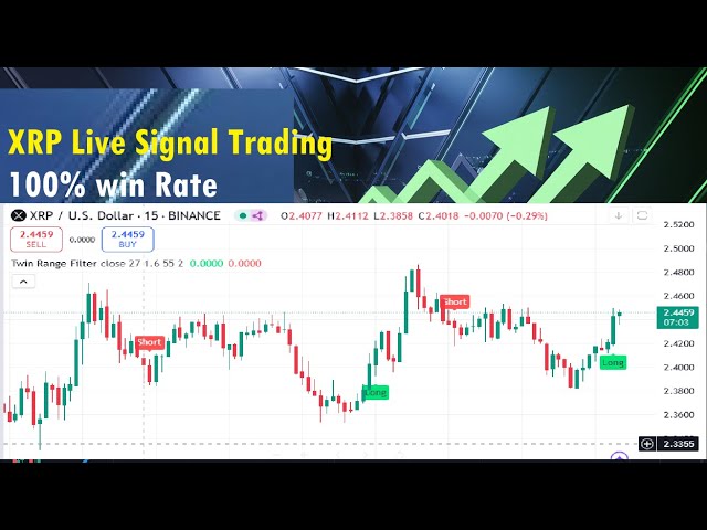 Top-XRP-Händler teilen LIVE Handelssignale zum Kaufen und Verkaufen! (Pädagogisch)