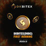 DKBitex Announces Inaugural Token Burn for Its Native DKBC Token, Underscoring Commitment to Innovation and User-centric Growth