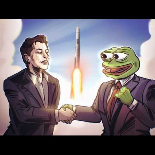 伊隆馬斯克透過推文支持 Pepe 代幣