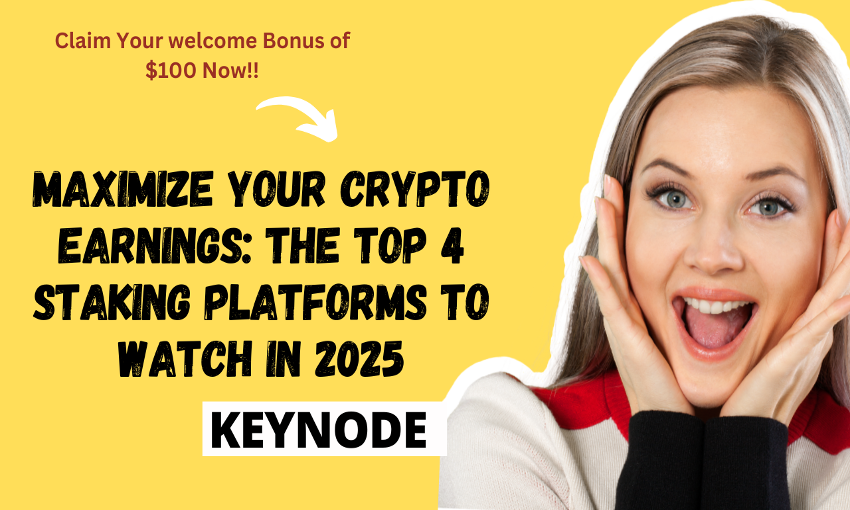 Keynode Stake：2024 年加密貨幣 Stake 平台中無與倫比的領導者