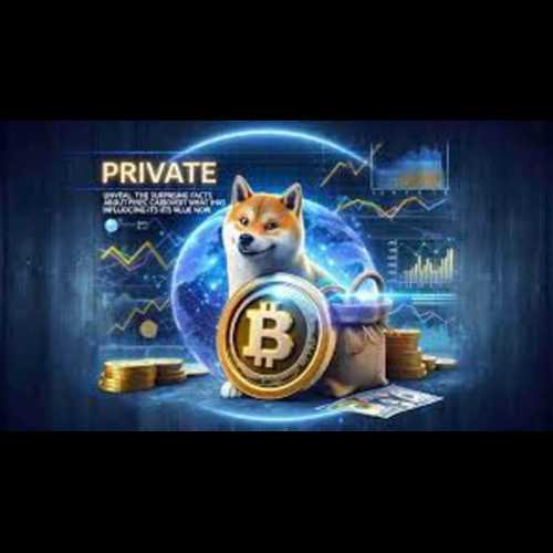 Shiba Inu (SHIB) : une pièce Meme avec une communauté dédiée et un fort sentiment des investisseurs