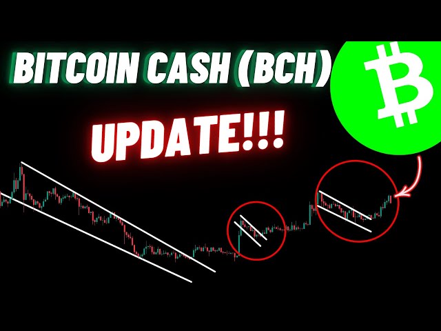 비트코인캐시(BCH) 암호화폐 업데이트!!!