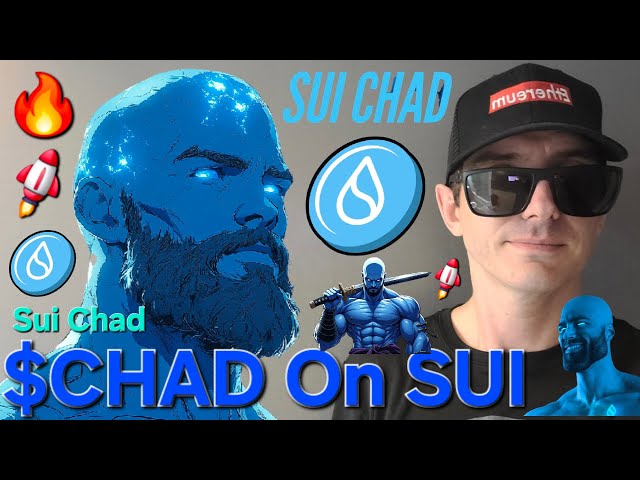 $CHAD - SUI CHAD 토큰 CTO 암호화폐 구매 방법 GIGA SUICHAD MEMECOIN GIGACHAD MEME 블록체인 DEX