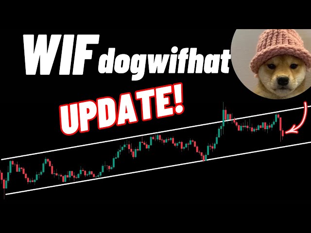 Dogwifhat (WIF) Mise à jour des pièces cryptographiques !