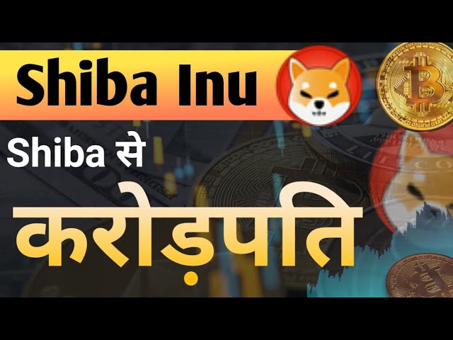 Millionaire from Shiba! || Shiba Inu Coin News Today || Find in Coin Price Prediction