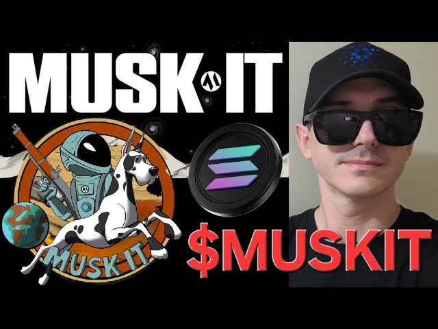 $MUSKIT - MUSK IT TOKEN CRYPTO COIN SO KAUFEN SIE NUR MUSKIT ELON MEMECOIN SOLANA SOL RAYDIUM DEX NEU