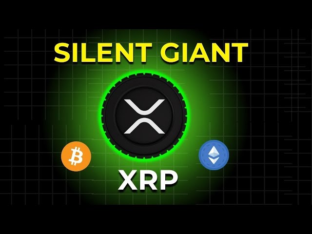 瑞波幣 (XRP) 的力量 每個投資者都需要了解的內容 (XRP)