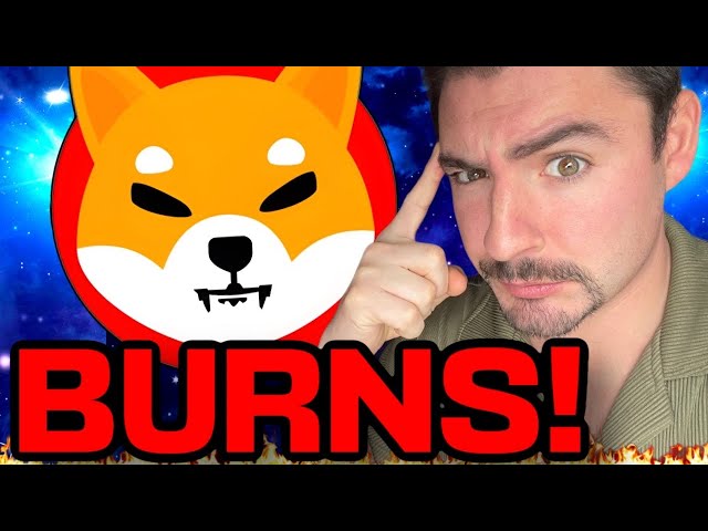 SHIB BURN! (Can Shiba Inu Reach $1?) THE TRUTH ABOUT SHIB! (Realistic SHIB Price Prediction 2025)