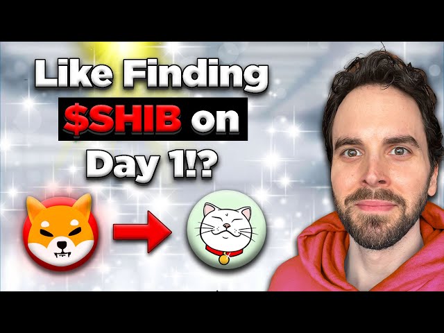 다음 SHIB? 2025년의 다음 주요 Cat Meme 코인을 찾았나요?