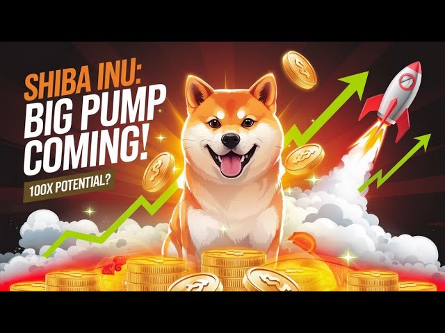 Shiba Inu 100X PUMPE | Neuigkeiten zur Shiba-Inu-Münze heute | Shiba Inu-Updates | Shiba Inu 2025