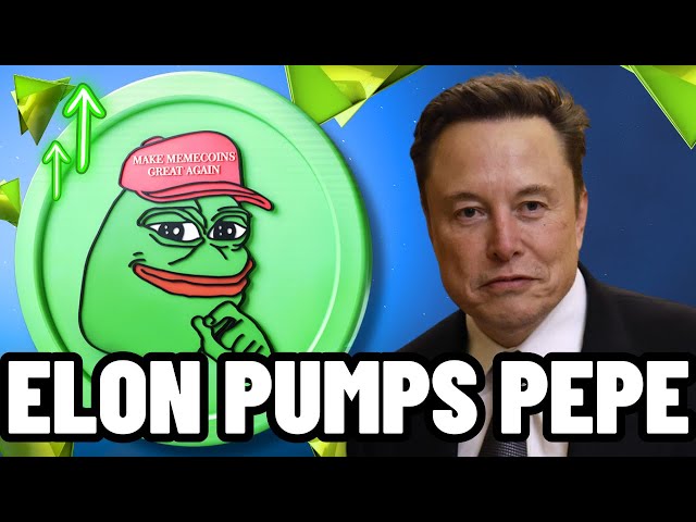 DRINGENDE PEPE-NEWS! ELON MUSK IST EINE SCHILLING-PEPE-MÜNZE!! PEPE COIN-PREISVORHERSAGE | PEPE-MÜNZEN-NEWS