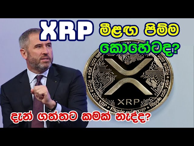 XRP 币将何去何从？这是本季最成功的，现在买可以吗？