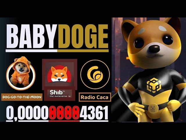 🔥BABY DOGE COIN // CHIEN VA SUR LA LUNE + RADIO CACA E SHIBA INU🔥#babydoge #doggotothemoon #shib