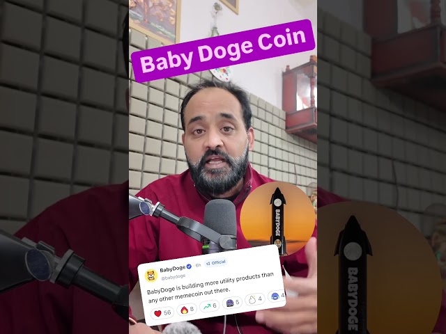 Baby Dogecoin 在区块链和加密空间中构建新产品。 ＃短裤