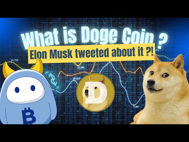 BTCC OG Week: Elon Musk가 가장 좋아하는 코인이 공개되었습니다! Doge 코인의 명성 상승