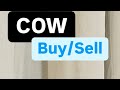 牛币下一步行动| COW 加密货币价格预测 |牛币价格分析 |牛加密货币