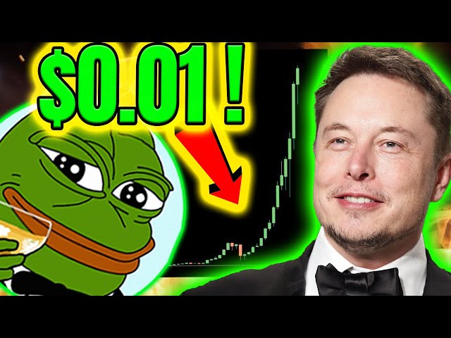 PEPE-HALTER – DAS IST VERRÜCKT BULLISCH!🐸 MACHEN SIE SICH BEREIT!!!! 🚨 🐸 PEPE COIN NEWS🔥 PEPE PREISVORHERSAGE