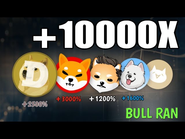 2021 जैसा Pump फिर सै +26,000,00% 🤯Dogs coin, Baby doge coin,Floki inu coin, Pepe Coin news today