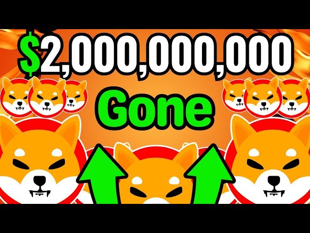 SHIBA INU : 2 000 000 000 $ DE SHIBA INU PARTI EN MOINS D'UNE HEURE (PAS DE BLAGUE !) ANALYSE DES NOUVELLES DES PIÈCES DE SHIBA INU