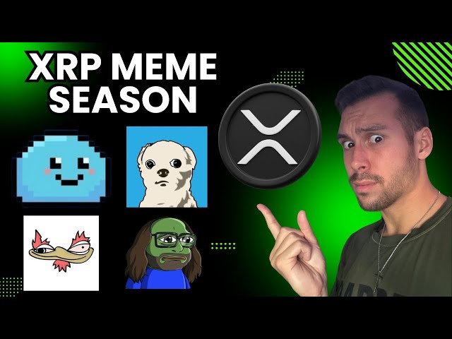 Ma liste de surveillance de pièces XRP Meme ! La prochaine étape est en CHARGEMENT !!! (XRPL, HBAR, BTC, RLUSD)