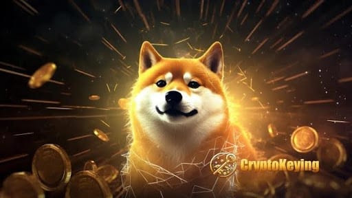 Dogecoin(DOGE)을 클라우드 채굴하는 방법