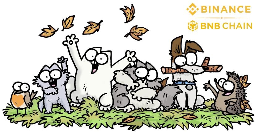 Könnte der neue virale Meme-Coin-Catslap der nächste auf dem Listing-Radar von Binance sein?