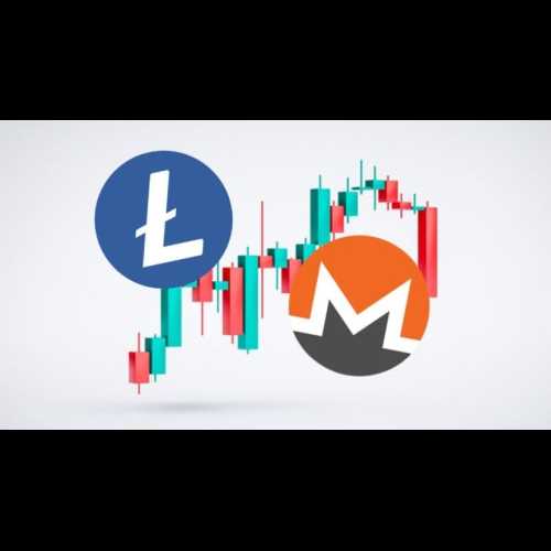 XMR 和 LTC 預計在 12 月的「聖誕老人集會」期間實現巨大收益