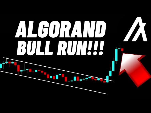 Algorand (ALGO) Crypto Coin Bull Run!!!