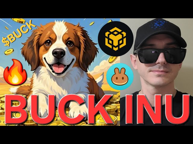 $BUCK - BUCK INU トークン 暗号コイン BNB BSC DOGE DOG ミームコイン パンケーキスワップ ブロックチェーン ミームの購入方法