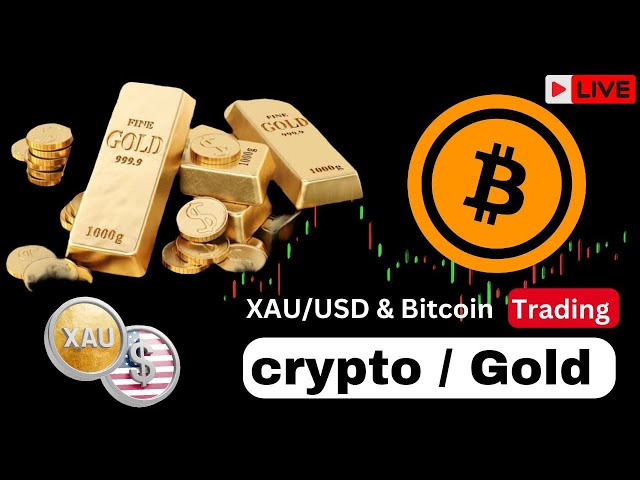 En direct XAUUSD Or et BTC || MEILLEURE PIÈCE DE CRYPTO AUJOURD'HUI RETOUR DE 50 % || MEILLEURE PIÈCE || EN DIRECT || 16 DÉC | JOUR 42