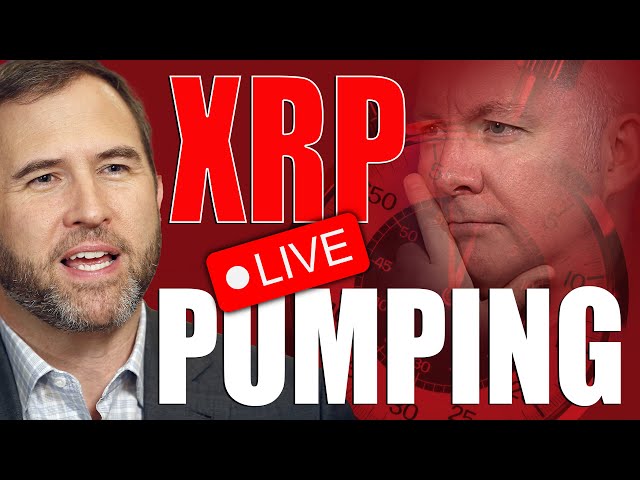 XRP 波動！ RLUSD 日期！ XRP 登上月球？ - 馬丁盧卡斯投資者