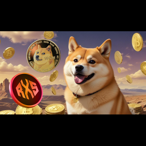 Der Dogecoin-Millionär setzt bei einer spannenden neuen Entwicklung im Kryptobereich alles auf Rexas Finance (RXS).