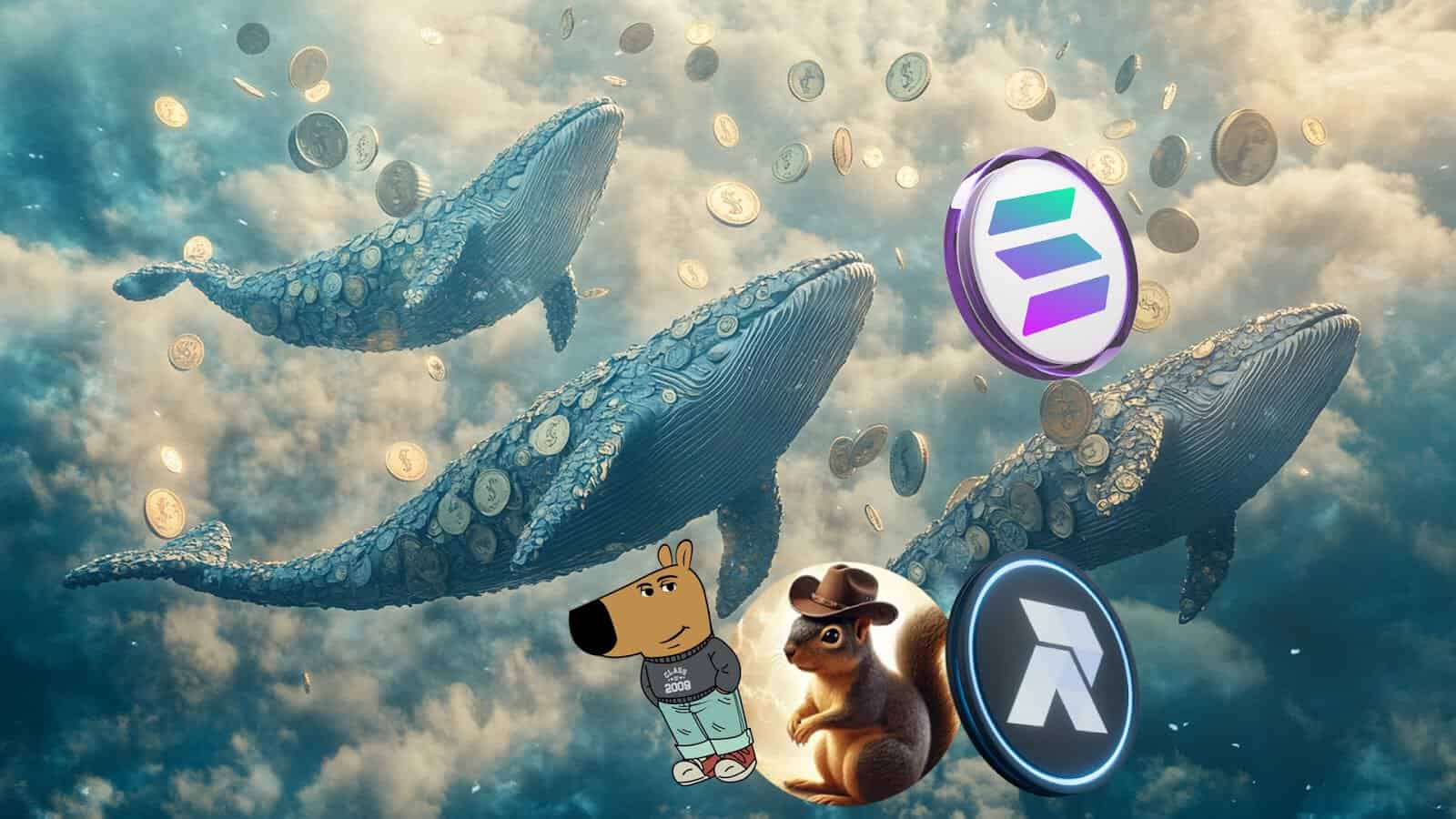 RCO Finance: The Hidden Altcoin Capturing the Attention of Solana Whales, Predicting a Massive 55,409% Surge by January