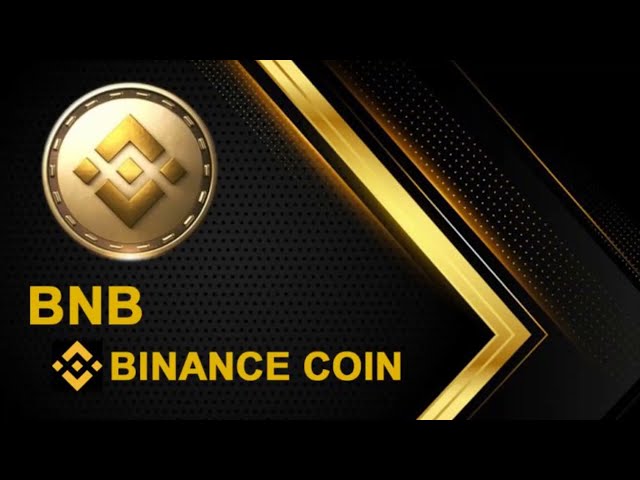 短期 BNB（幣安幣）無需抵押品 BNB 閃電貸套利。