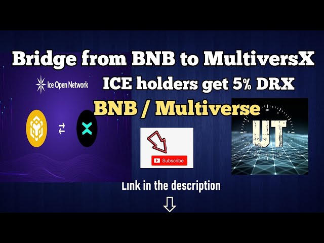 So überbrücken Sie Ice-Token von BNB zu MultiversX | Eishalter verdienen mehr DRX