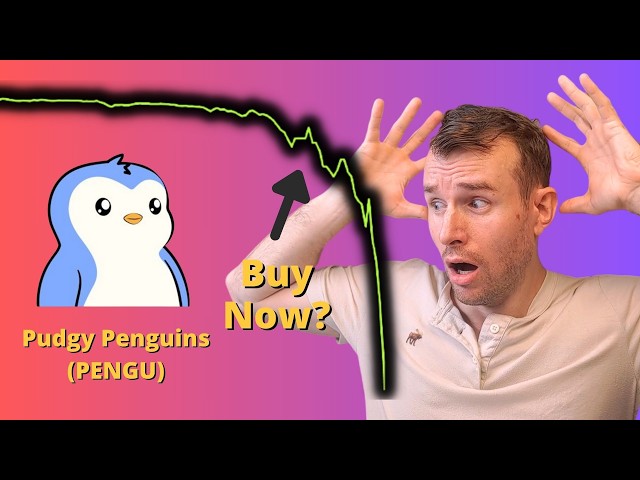 Pudgy Penguins Crash를 구매하시겠습니까? 💀 PENGU 암호화폐 토큰 분석